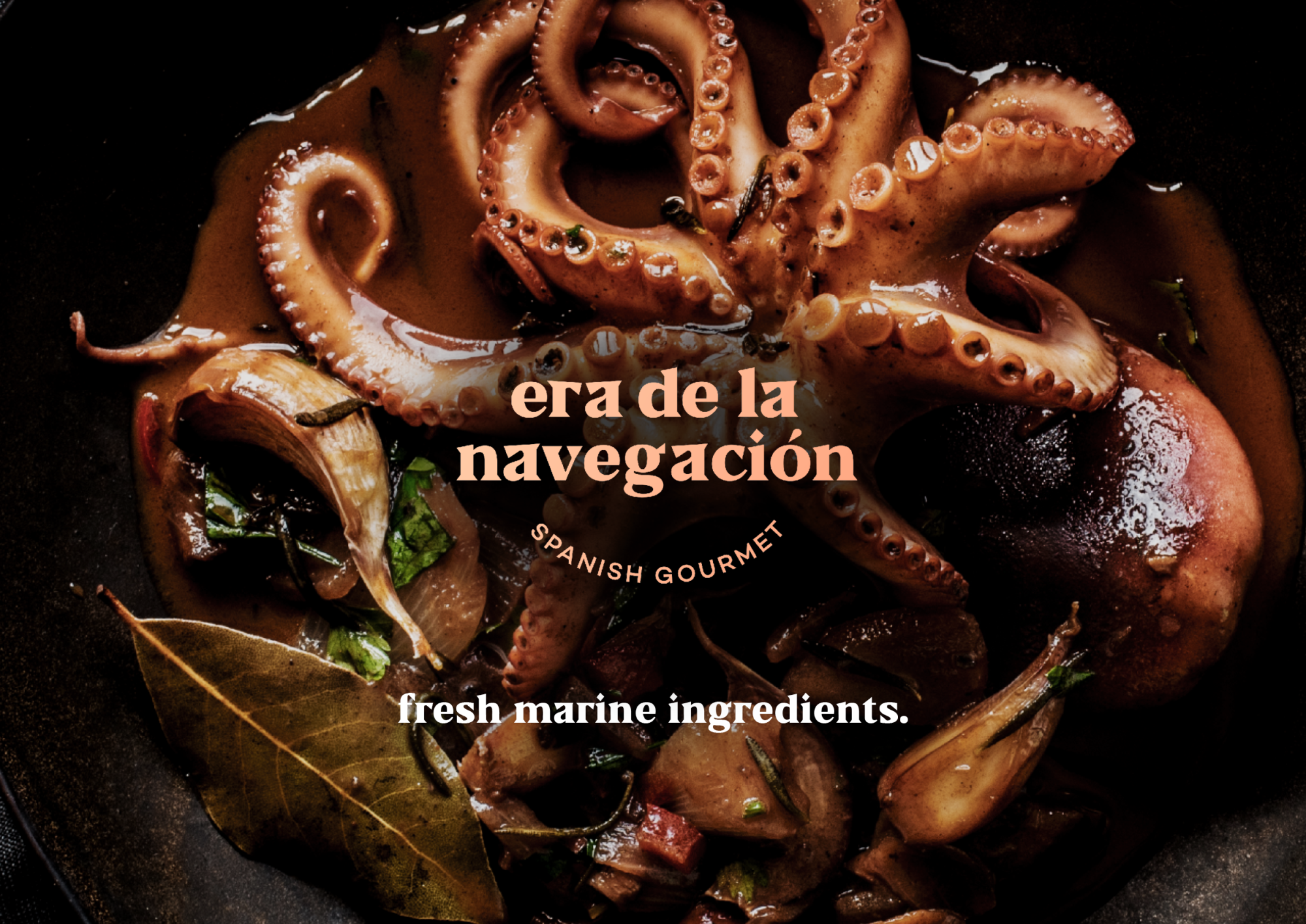 Era de la Navegación